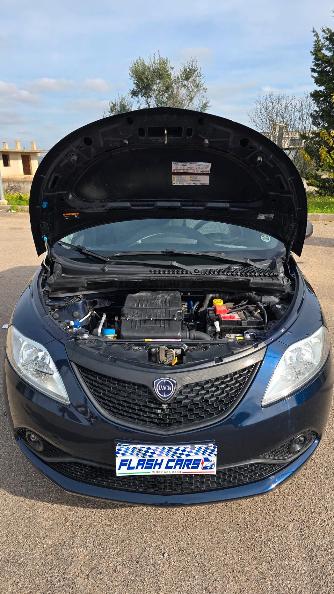 Lancia Ypsilon 1.2 69 CV 5 porte S&S Platinum