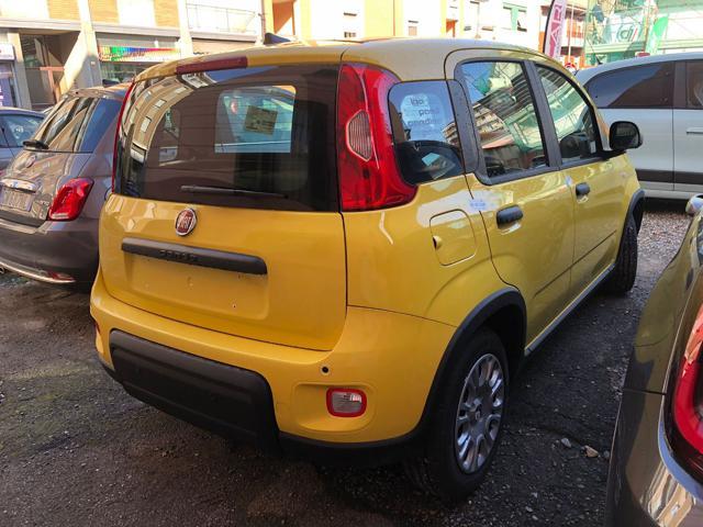 FIAT Panda 1.0 FireFly S&S Hybrid Pandina