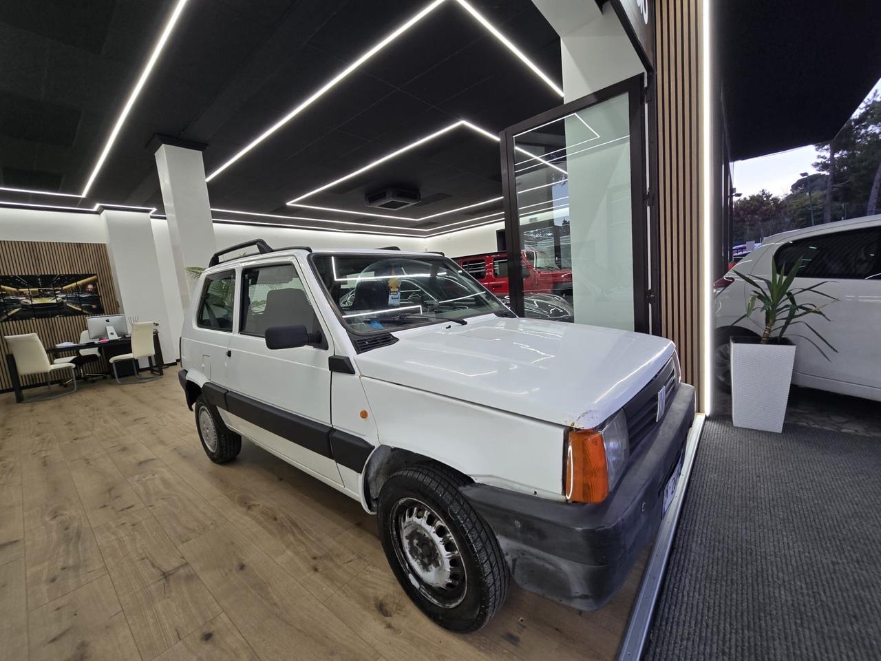 Fiat Panda 1100 i.e. cat Young