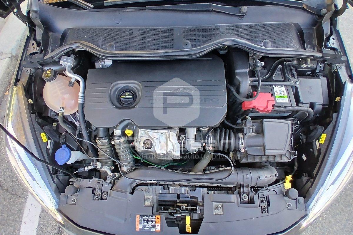 FORD Fiesta 1.5 EcoBlue 5 porte Titanium