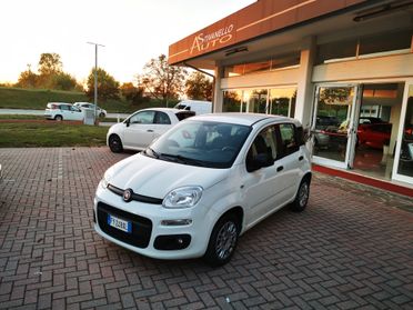 Fiat Panda 1.2 KM 39.600 CERTIFICATI