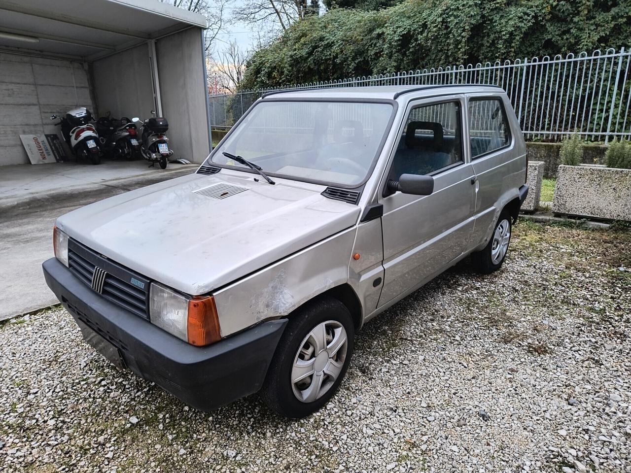 Fiat Panda 1100 i.e. cat Young