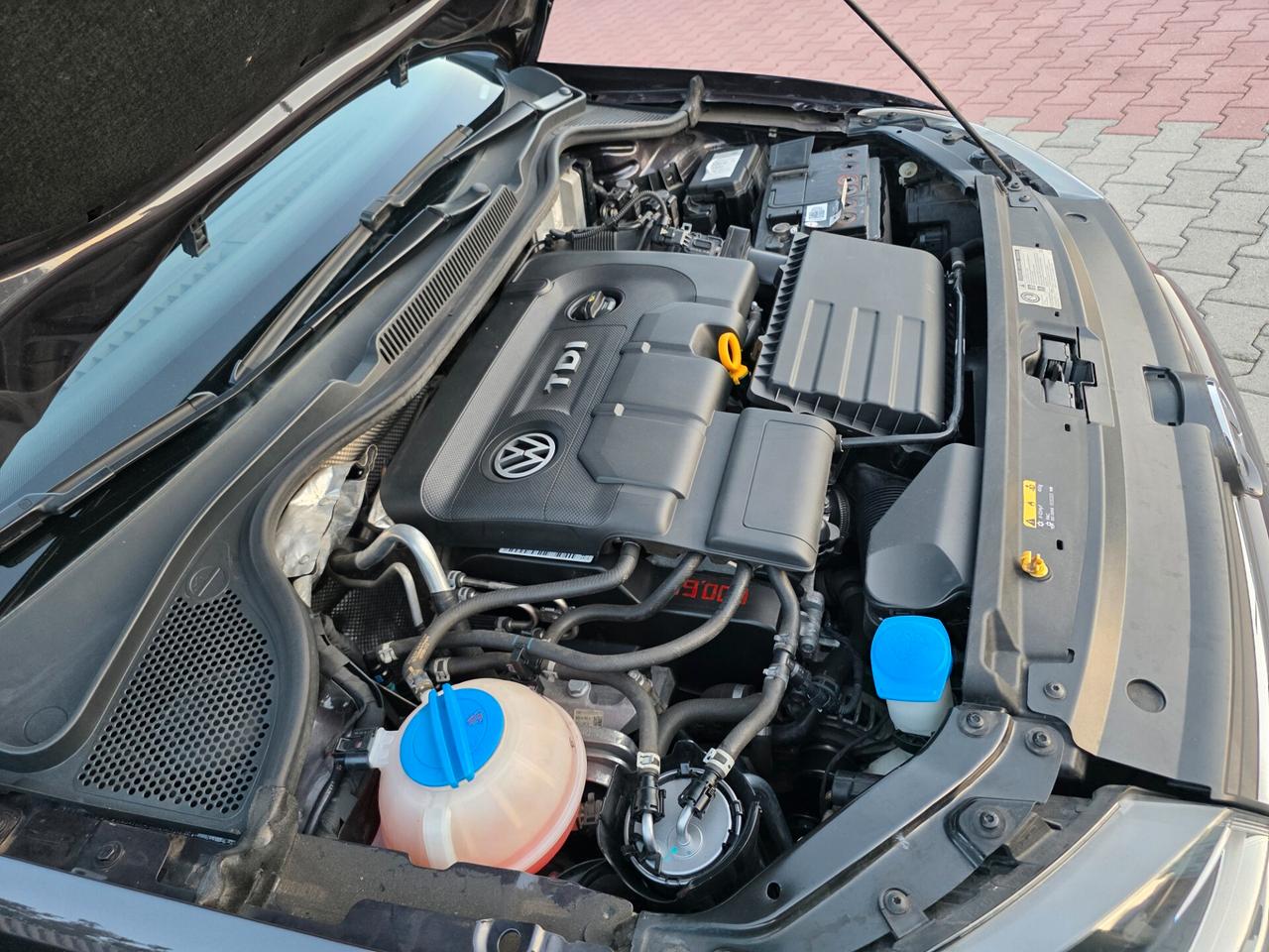 Volkswagen Polo 1.4 TDI 5p perfetta e garantita 12 Mesi