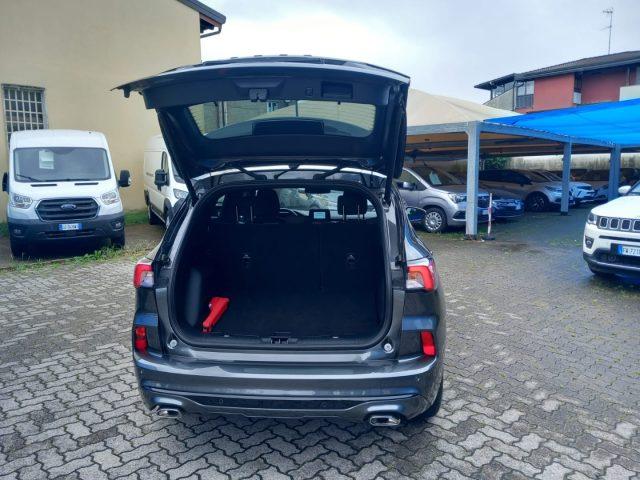 FORD Kuga 2.0 EcoBlue 120 CV aut. 2WD ST-Line