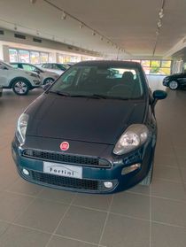 FIAT Punto 1.4 8V 5 porte Natural Power Lounge