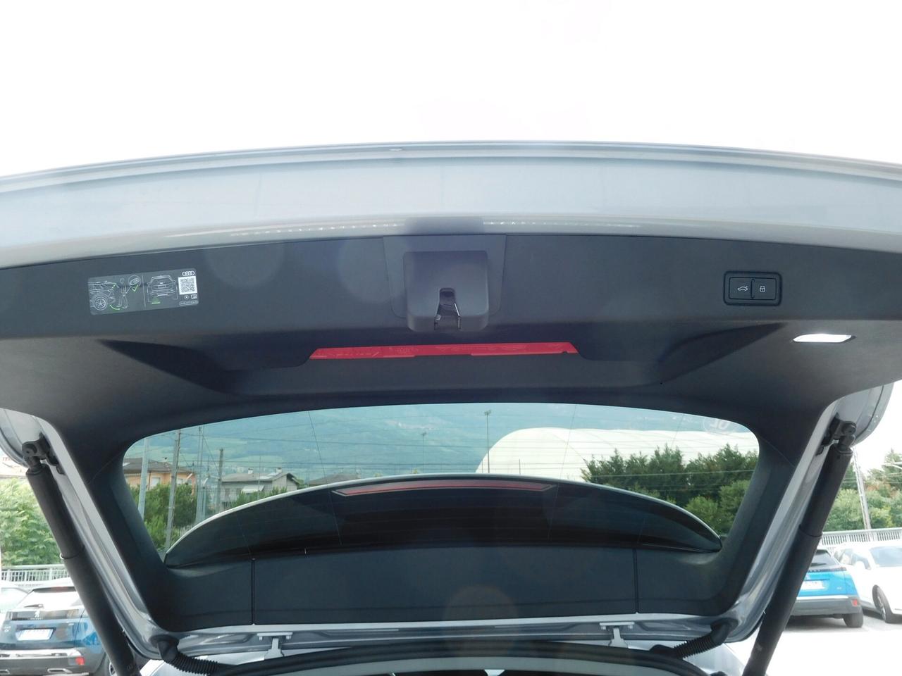 Audi Q5 Proline Advanced 2.0 TDI 204cv Hybrid quattro S tronic