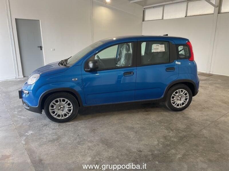 FIAT Panda Serie 7 1.0 70cv HybridPanda