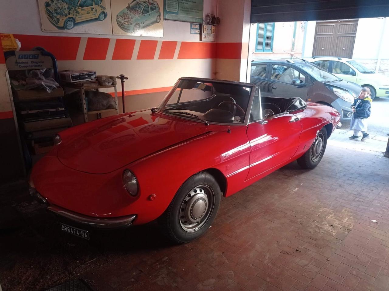 ALFA ROMEO DUETTO SPIDER ** OSSO DI SEPPIA **