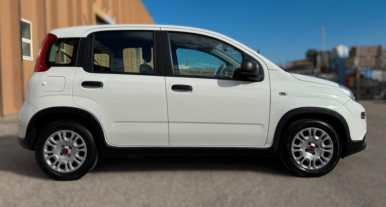Fiat Panda 1.0 69CV NEOPATENTATI - 2024