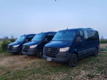 Mercedes Sprinter 317, automatico, 9 posti, full