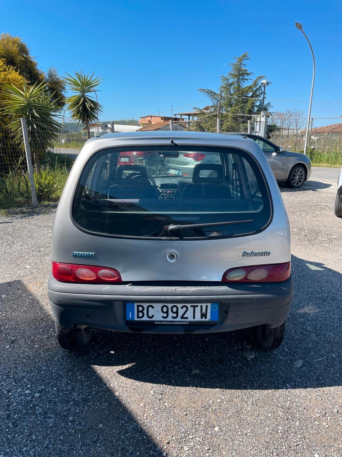 Fiat Seicento 900i cat Young