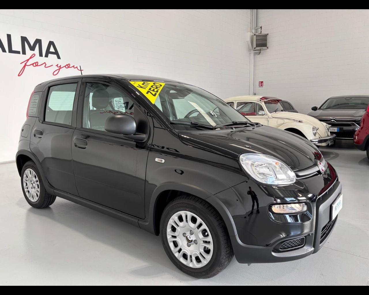 FIAT Pandina III 2024 - Pandina 1.0 firefly hybrid Pop s&s 70cv