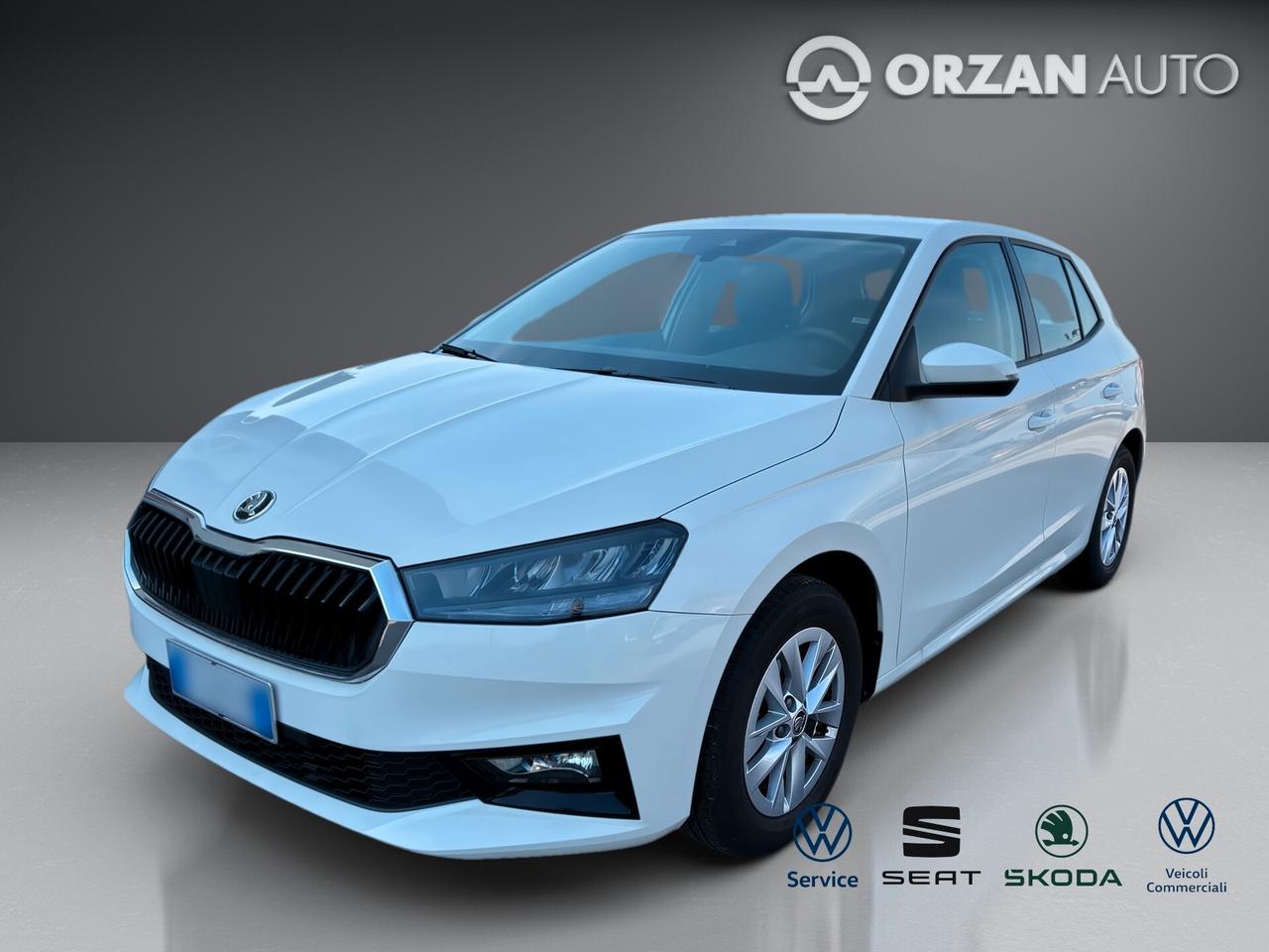 Skoda Fabia 1.0 MPI 80 CV Selection CELL VENDITE 3491558563 - 3478673115