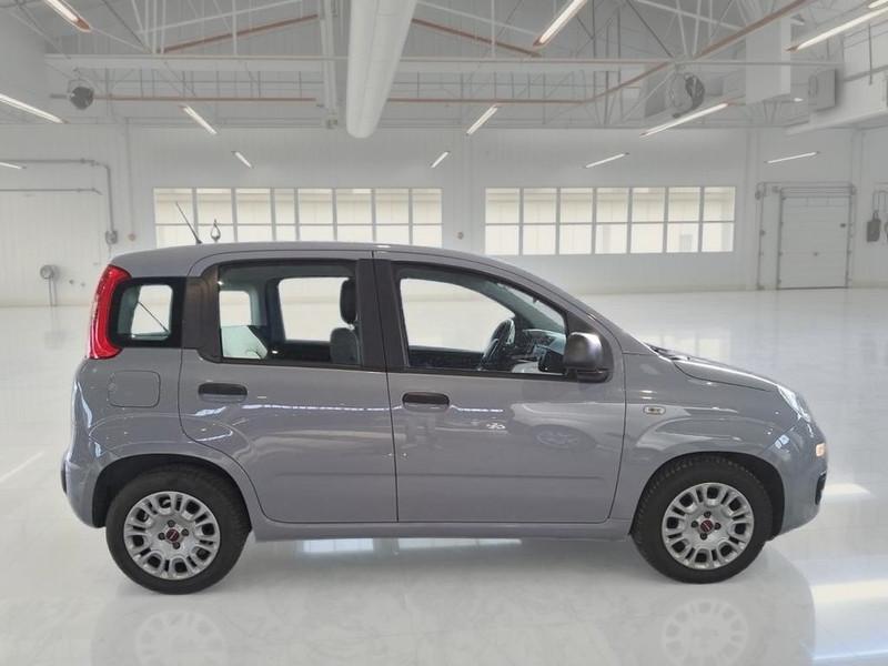 FIAT PANDA 1.0 FireFly 70cv S/S Hybrid 5 PORTE