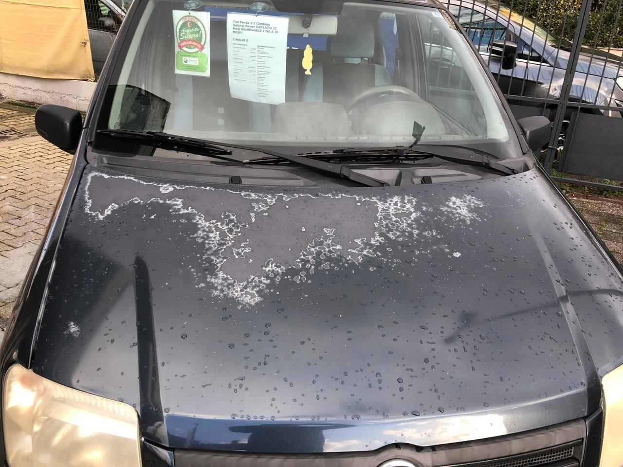 Fiat Panda 1.2 Climbing Natural Power