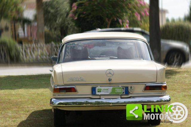 MERCEDES-BENZ 200 D200 anno 1967 iscritta ASI ben conservata