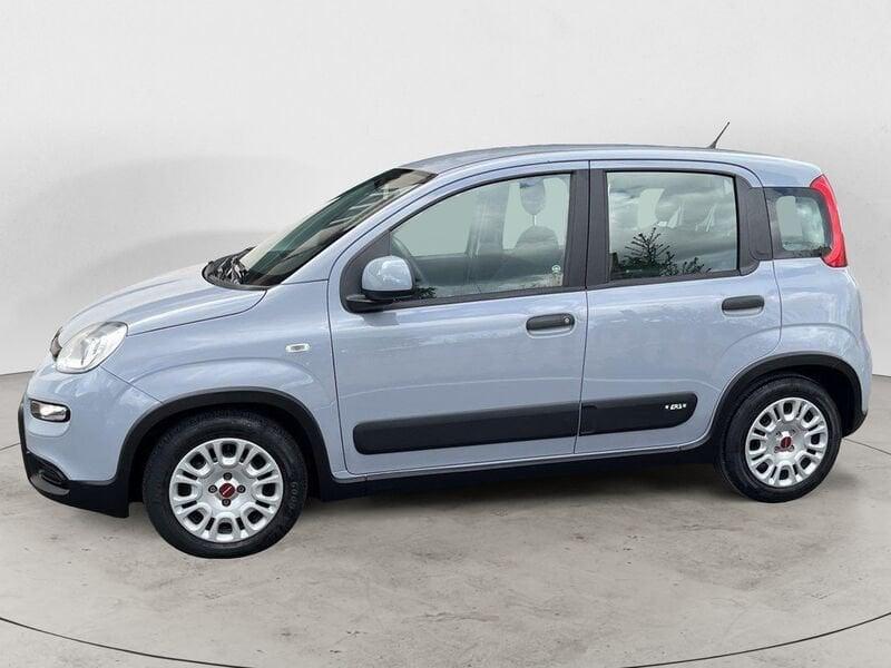 FIAT Panda 1.0 FireFly Hybrid GPL - NAVI/BLUETOOTH