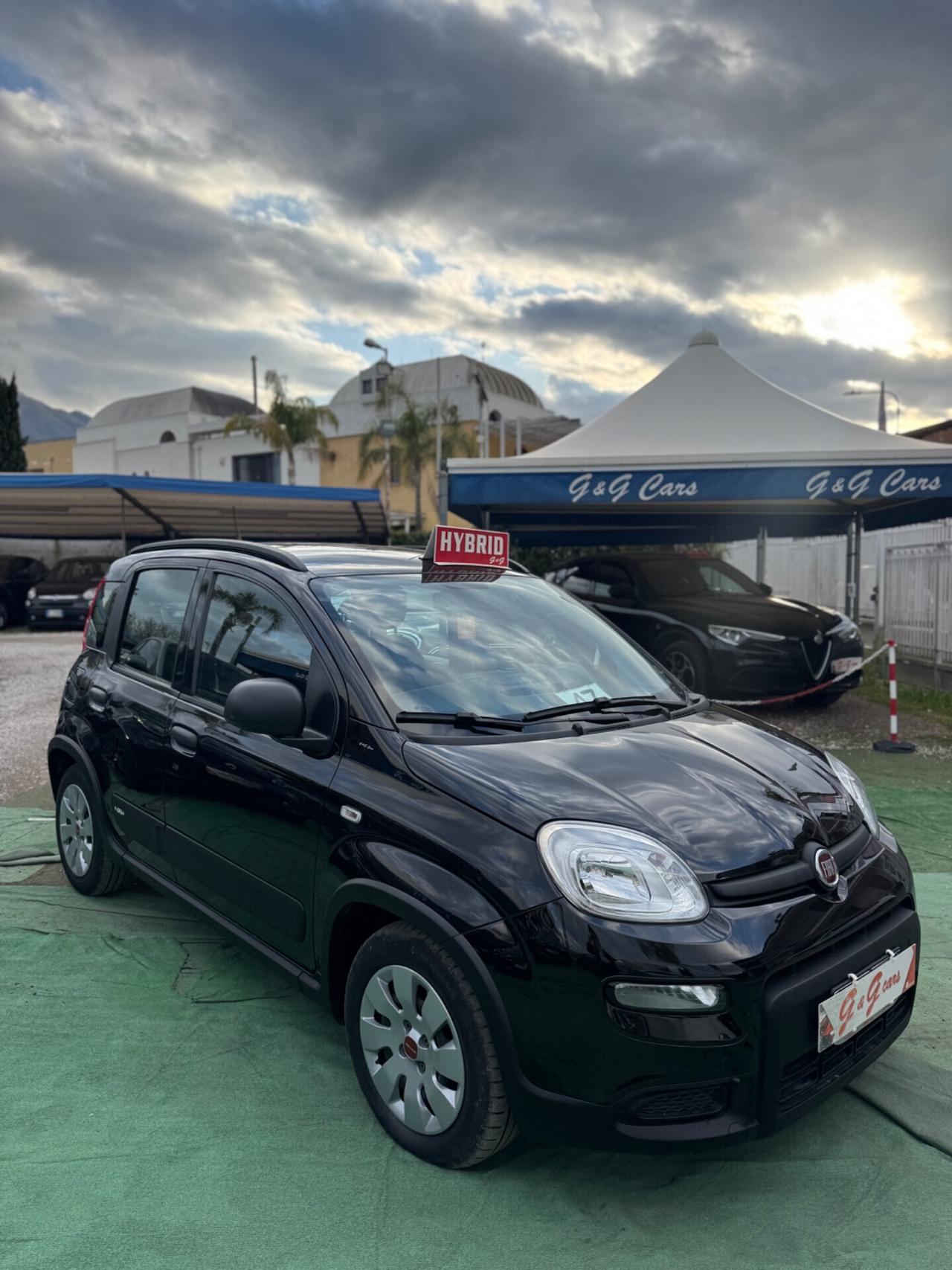 Fiat Panda 1.0 FireFly S&S Hybrid