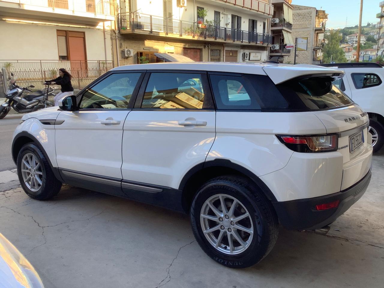 Land Rover Range Rover Evoque Range Rover Evoque 2.0 TD4 150 CV 5p. Pure