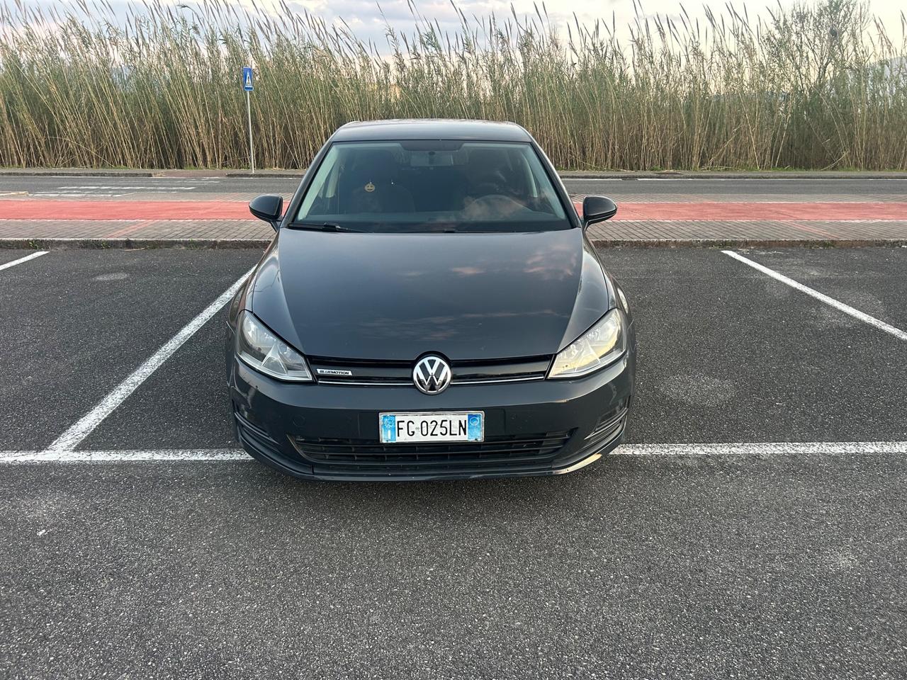 Volkswagen Golf serie 7 - 1.4 TGI 5p. Executive BlueMotion