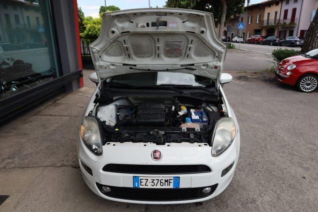 FIAT Punto 1.2 8V 3 porte Street NEOPATENTATI