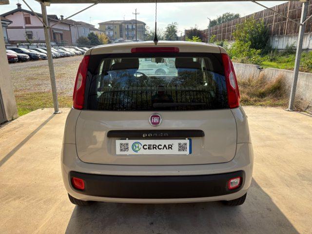 FIAT Panda 1.2 Easy BENZINA EURO 6 OK NEOPATENTATI