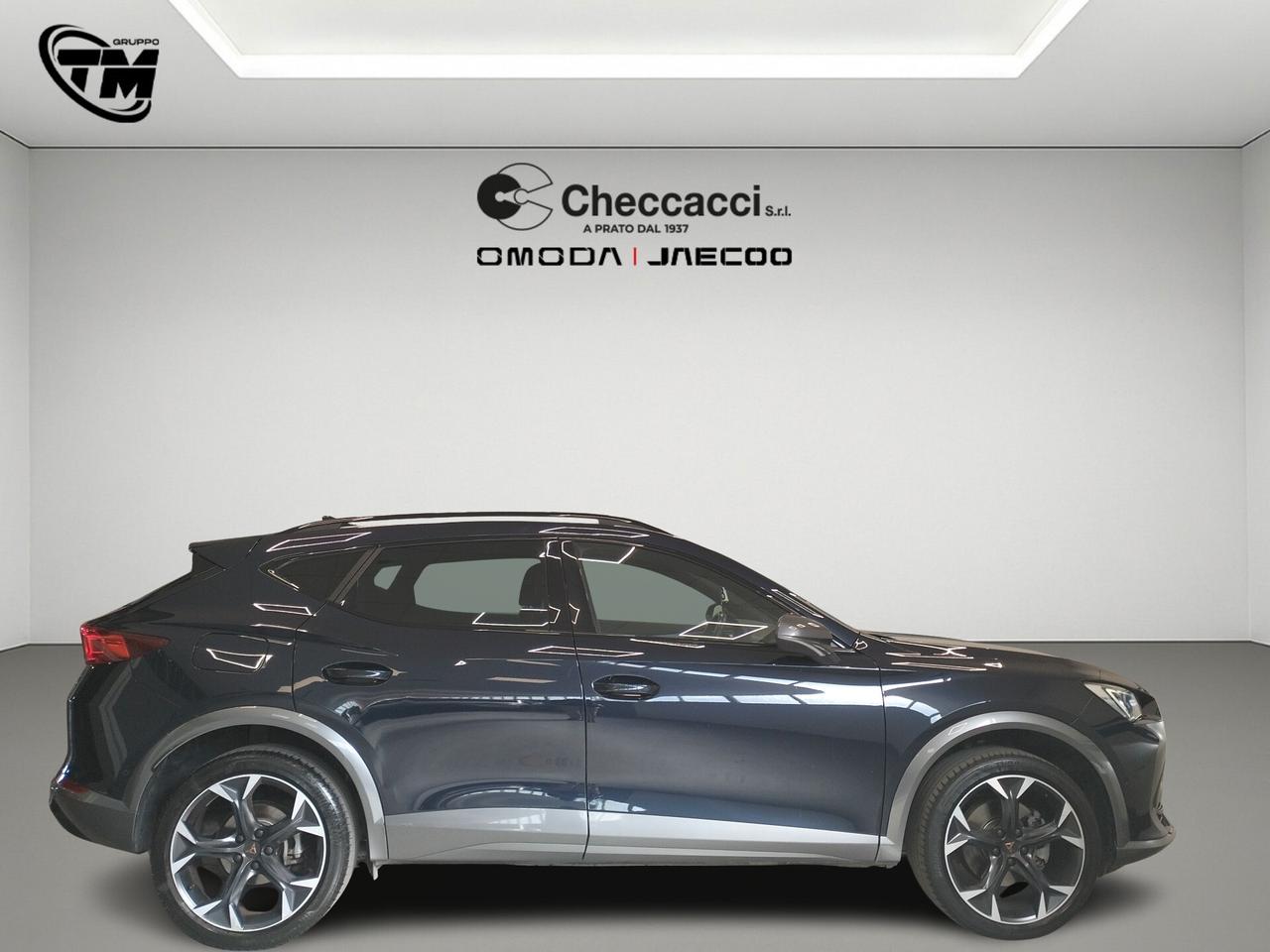 Cupra Formentor 2.0 TDI