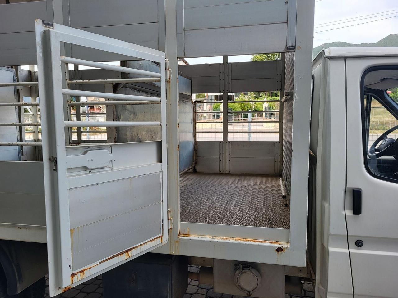 Ford Transit 2.5 diesel TRASPORTO ANIMALI VIVI - BESTIAME UNICO PROPRIETARIO