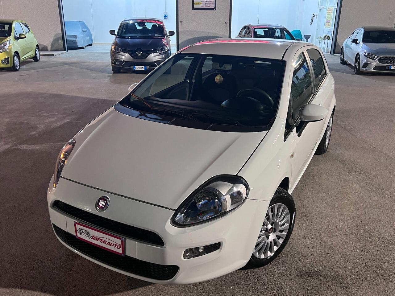 Fiat Punto 1.3MJT 75CV Lounge DISTRIBUZ.E GARANZIA