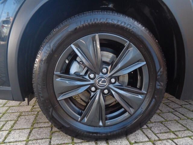 Lexus UX 250 Hybrid Business NO VINCOLO DI FINANZIAMENTO