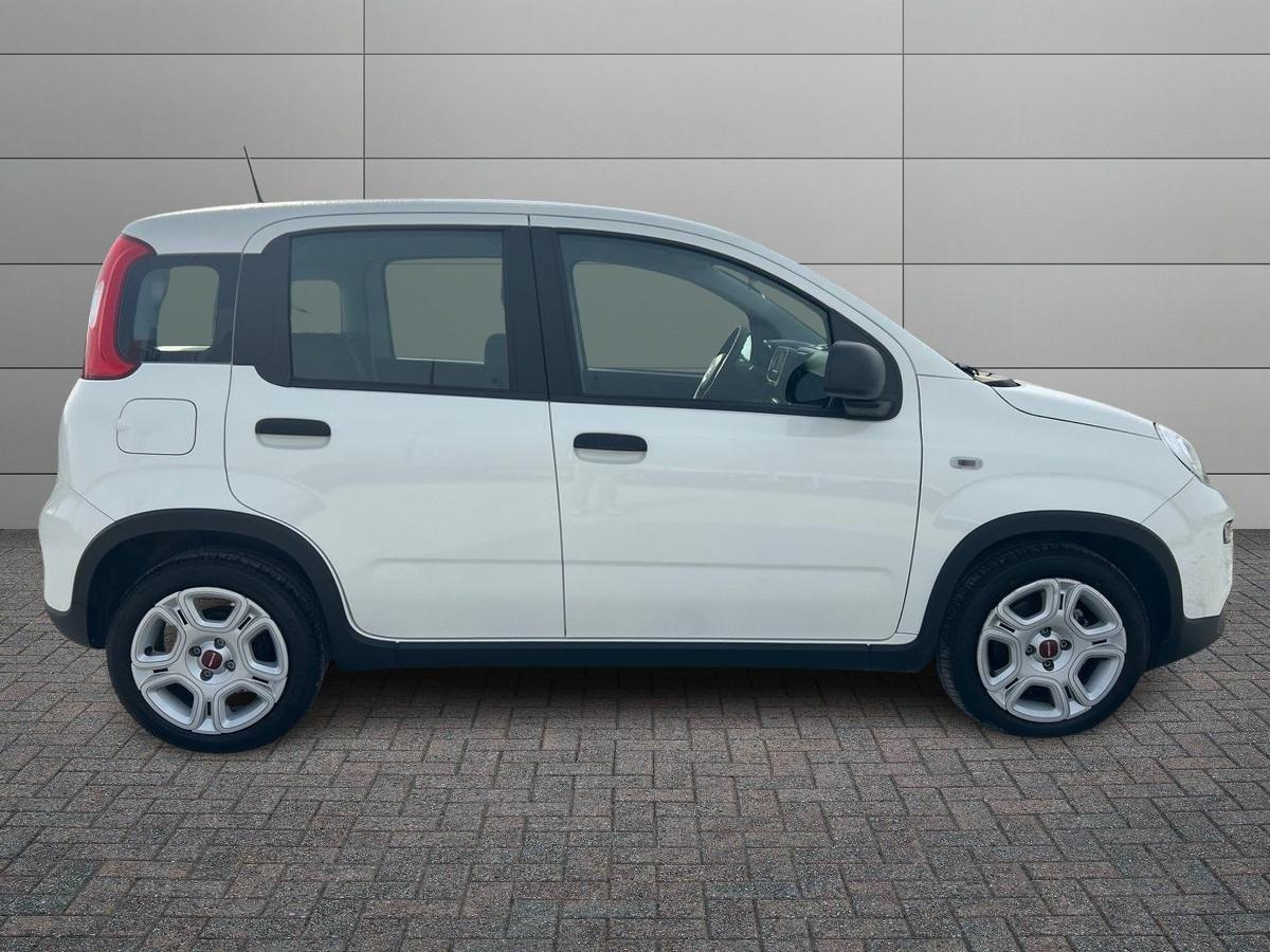 FIAT Panda My23 1.0 70cv Hybrid Panda