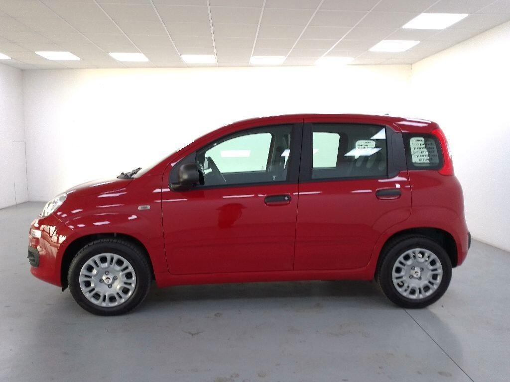 Fiat Panda Pandina 1.0 firefly hybrid Icon s&s 70cv 5p.ti