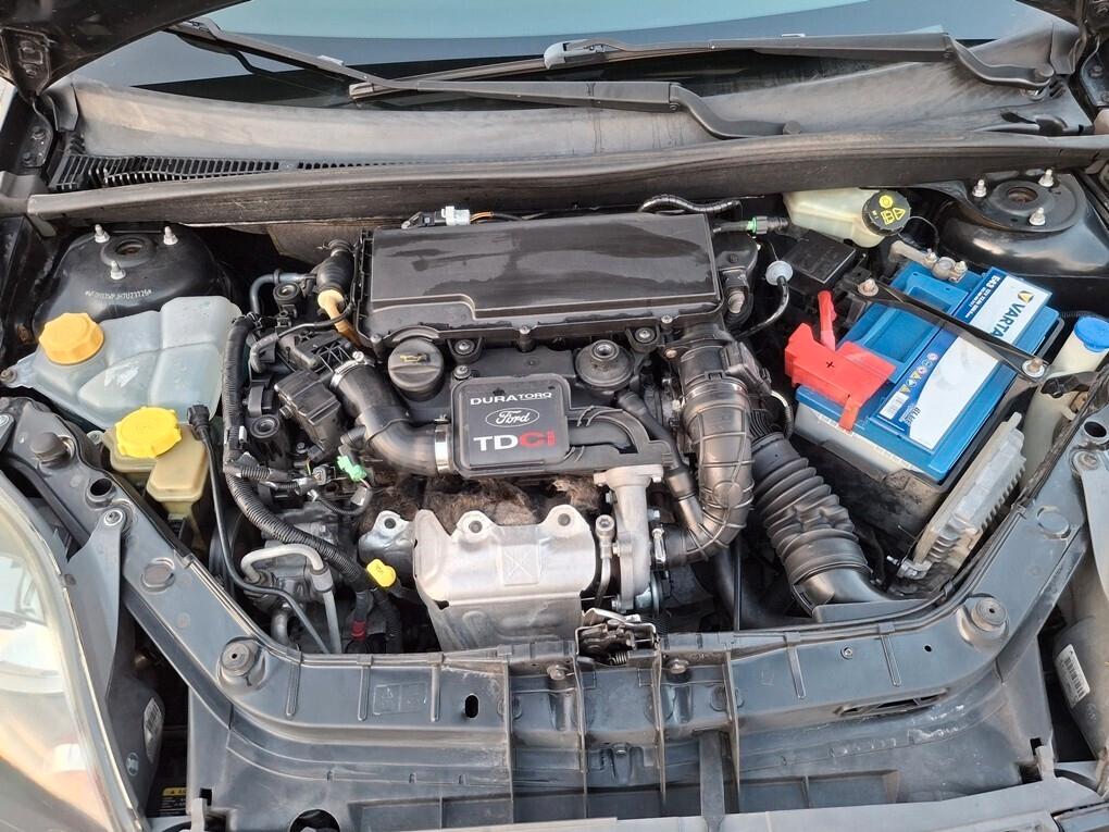 Ford Fiesta 1.4 TDCI 5 Porte - 2008