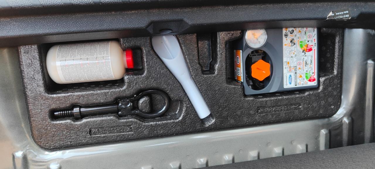 Ford EcoSport 1.0 EcoBoost 125 CV Start&Stop Titanium