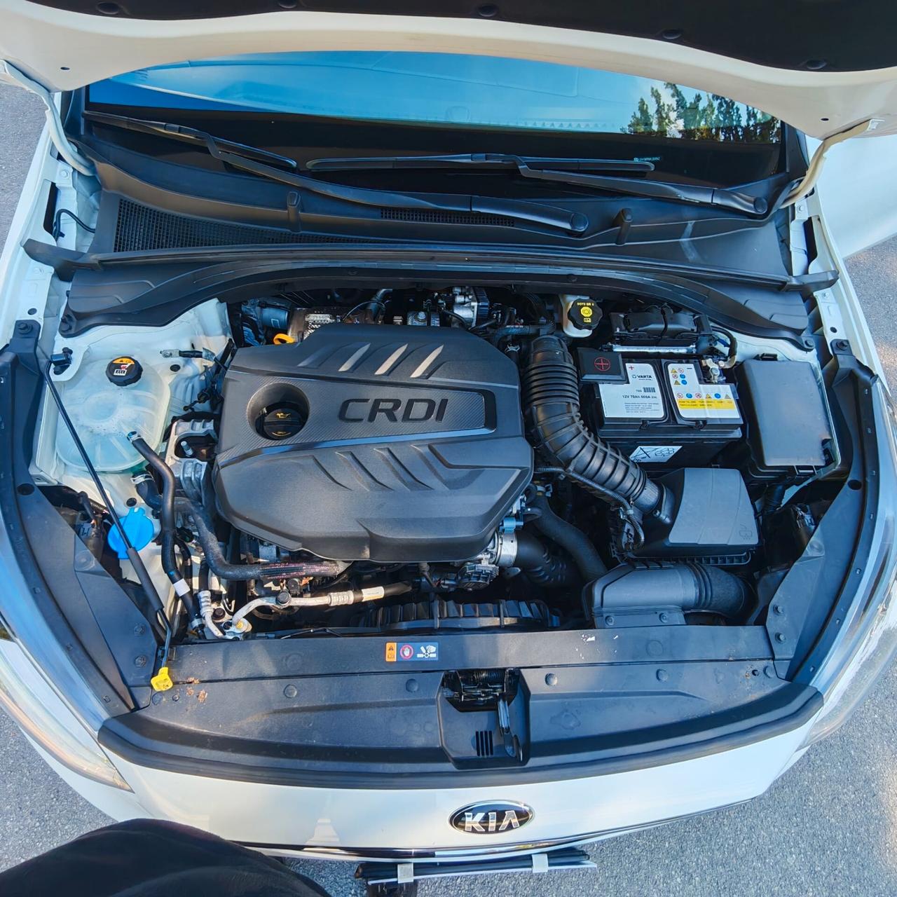 Kia Ceed 1.6 CRDi 115 CV DCT SW Business Class