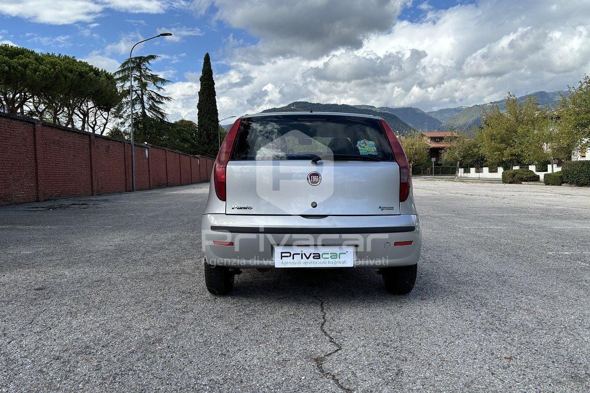 FIAT Punto Classic 1.2 5 porte Natural Power Active