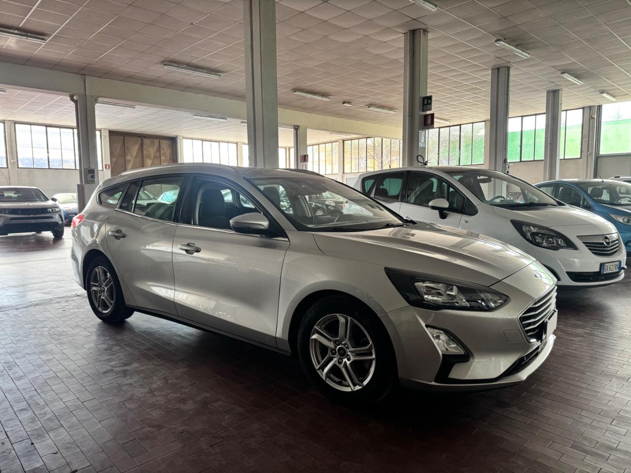 Ford Focus 1.5 EcoBlue 120 CV automatico SW Business Co-Pilot