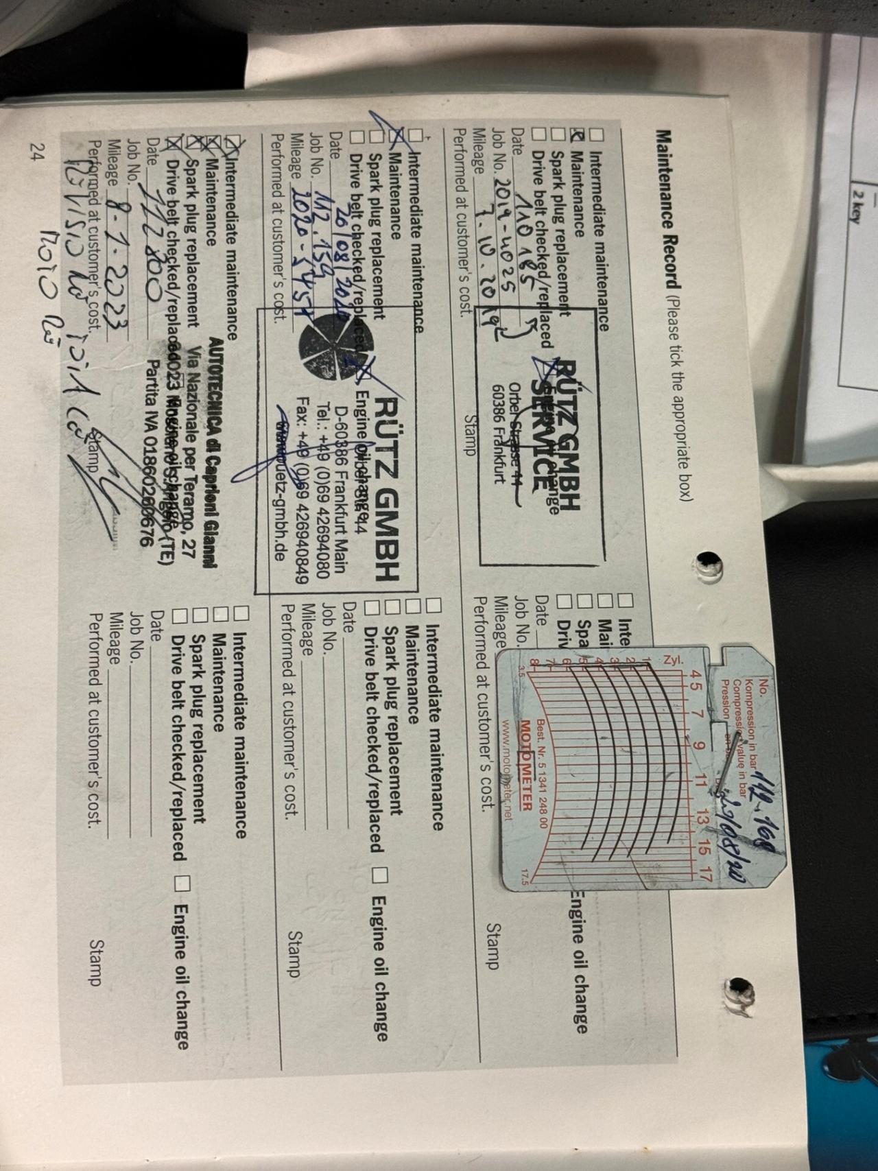 Porsche 911 Targa cat