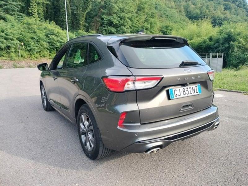 Ford Kuga Kuga 1.5 EcoBlue 120 CV 2WD ST-Line