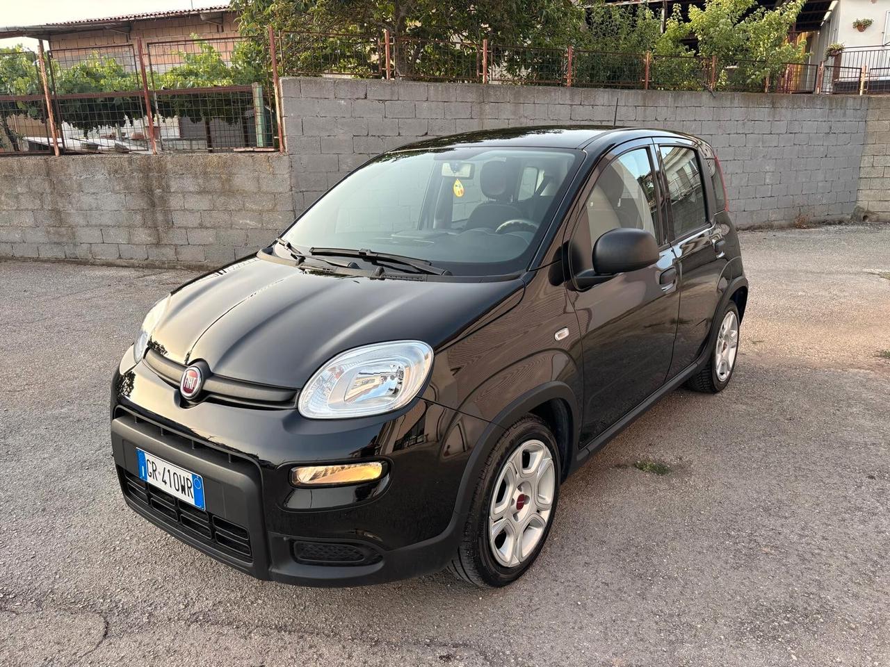 Fiat Panda 1.0 FireFly S&S Hybrid 11/2023 km 45.000