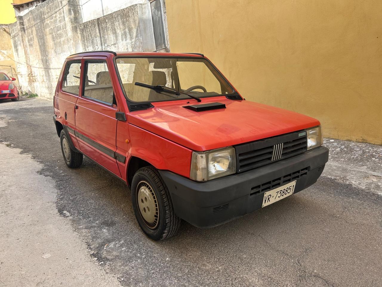 Fiat Panda 900 i.e. cat Young