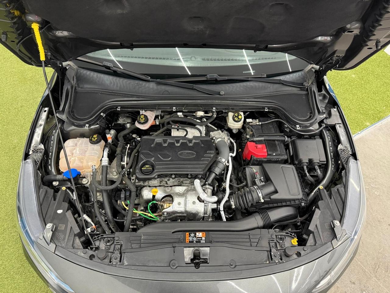 Ford Focus 1.5 EcoBlue 120 CV aut. 5p. ST-Line Design