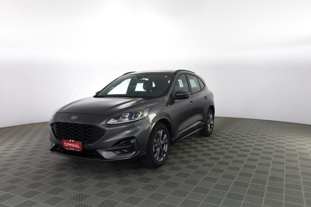 FORD Kuga Kuga 1.5 EcoBlue 120 CV aut. 2WD ST-Line