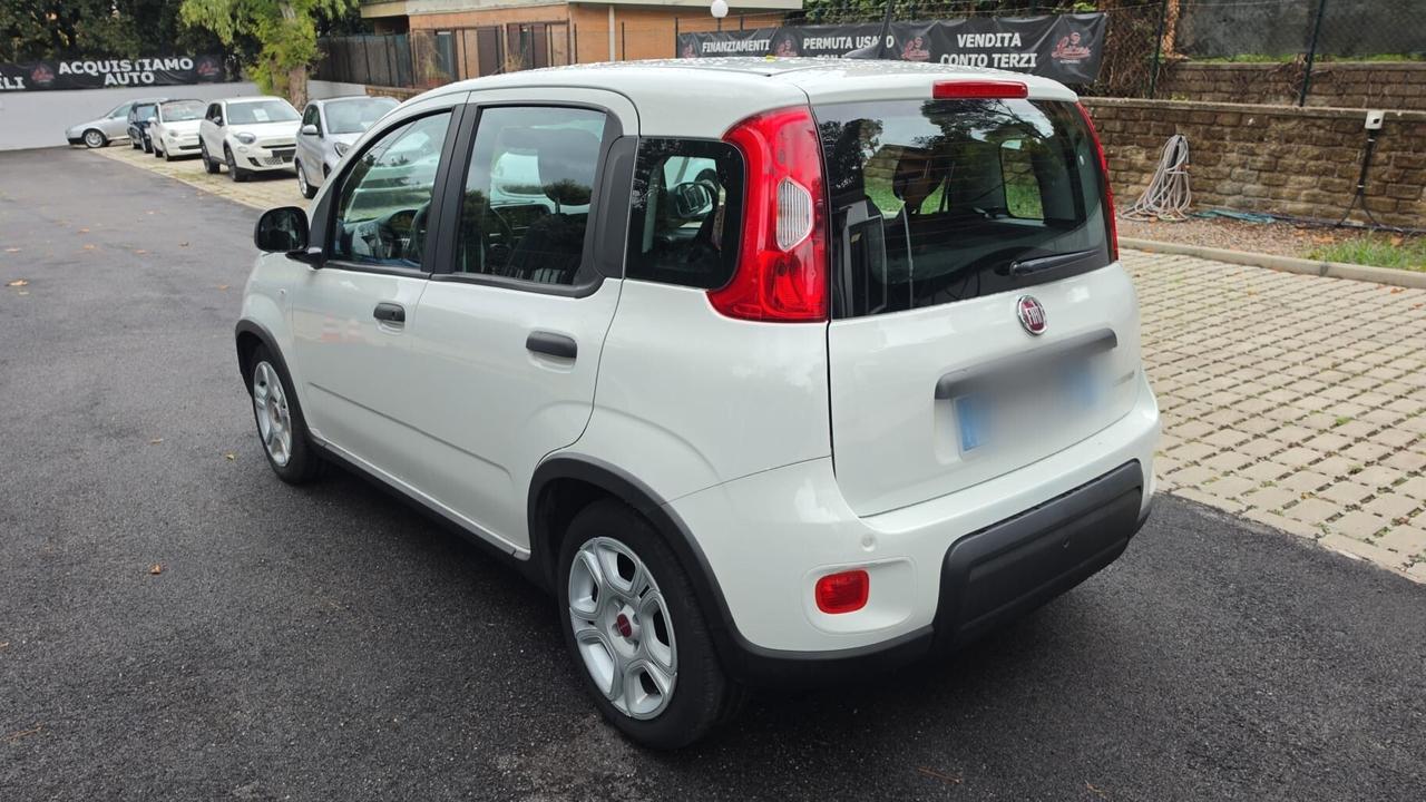 Fiat Panda 1.0 FireFly S&S Hybrid PREZZO IN OFFERTA PROMO FIN