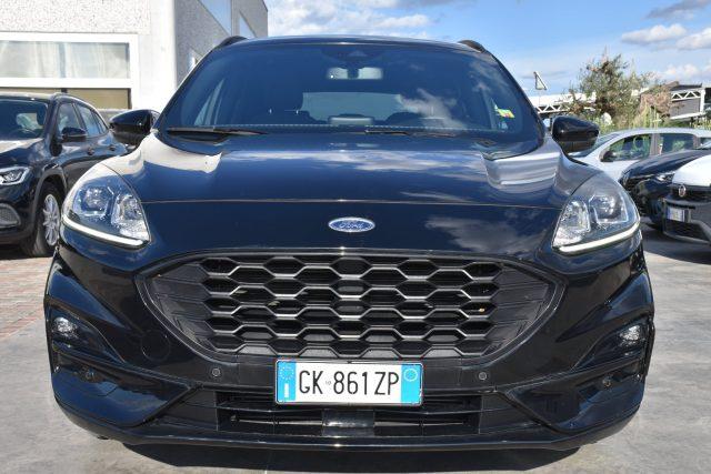 FORD Kuga 1.5 EcoBlue 120 CV 2WD ST-Line