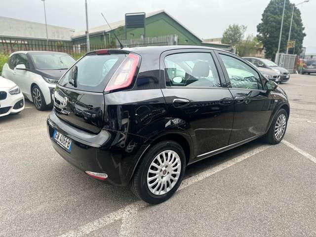 Fiat Punto Punto 5p 1.3 mjt / NEOPATENTATI