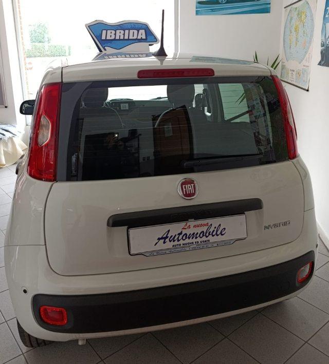 FIAT Panda 1.0 FireFly HYBRID KM 0 CON SENSORI POST.