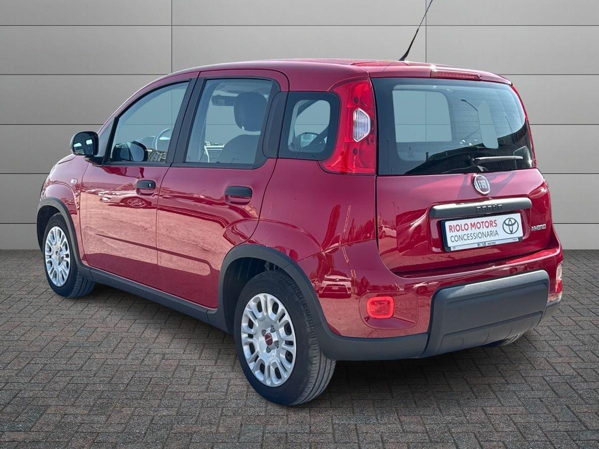 FIAT Panda III 2021 - Panda 1.0 firefly hybrid s&s 70cv
