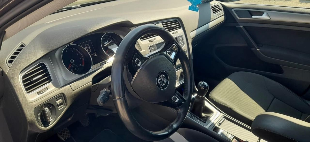 Volkswagen Golf 1.4 TGI 5p. Comfortline BlueMotion