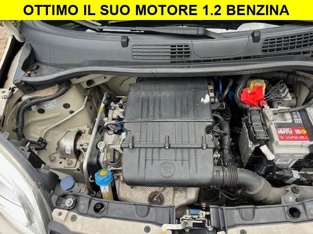 FIAT Panda 1.2 5 Posti Neopatentati